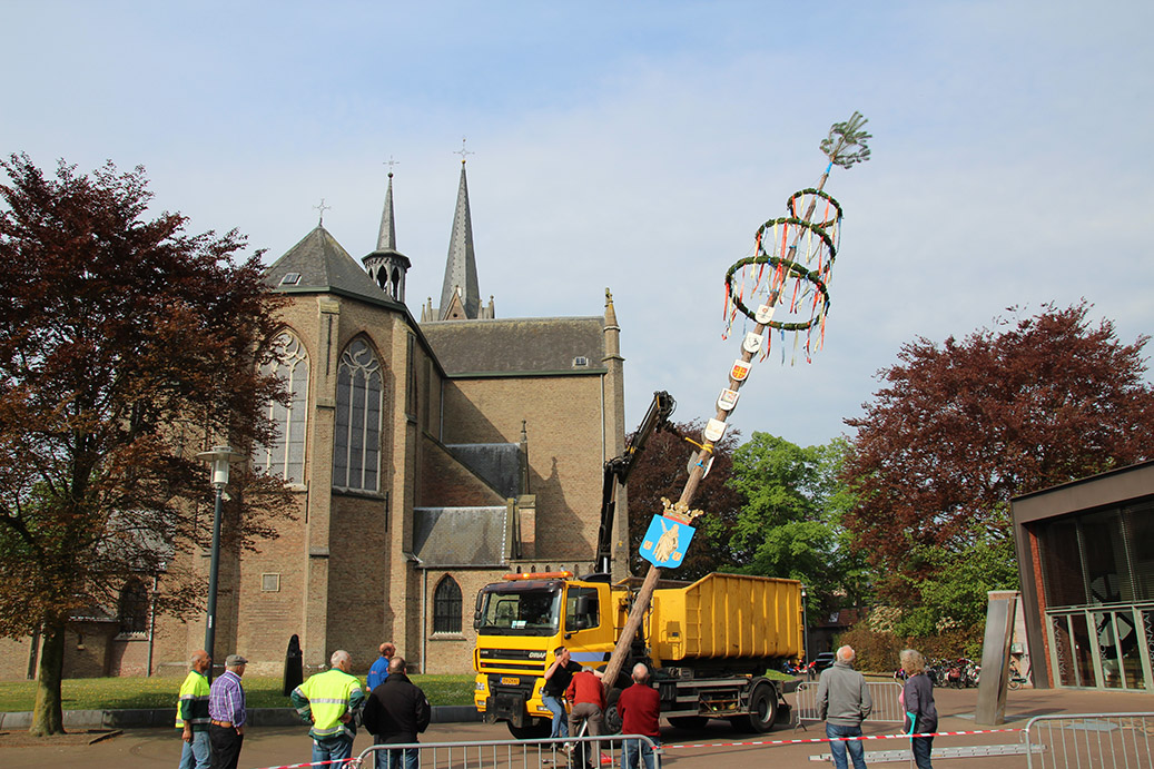 Met vereende krachten wordt de Mierlose Meiboom opgericht.